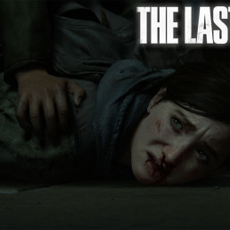 The Last Of Us Part II Report Possible ?