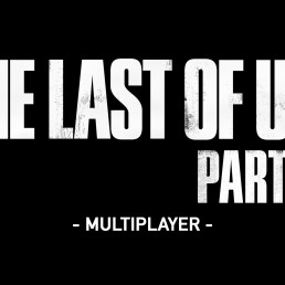 Personnalisation Multijoueur The Last Of Us Part II