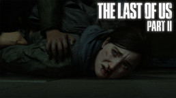 The Last Of Us Part II Report Possible ?