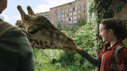 Joel regarde Ellie nourrir et caresser une girafe dans le dernier épisode de la saison 1 de The Last of Us (HBO).
