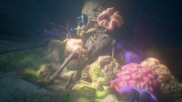 ce squelette avec un champignon sur la tête ressemble en tout point de vue à un clicker, un monstre présent dans The Last of Us