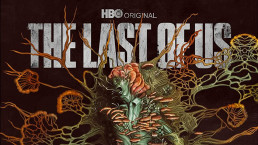 Design de la jaquette du steelbook de la saison 1 de The Last of Us (HBO).