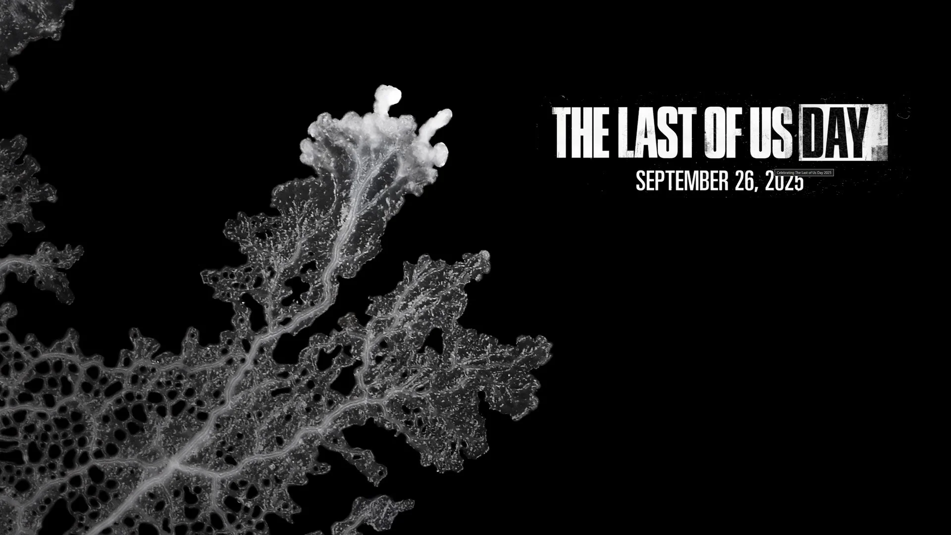 Fonds d'écran The Last of us Day 2025.